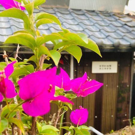 Guesthouse Nichinan - Vacation Stay 82905V Buitenkant foto